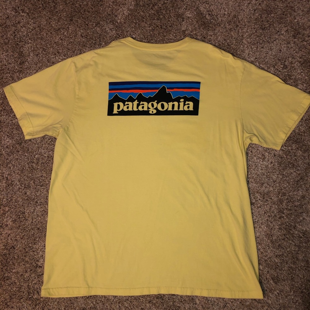 Patagonia T-shirt
